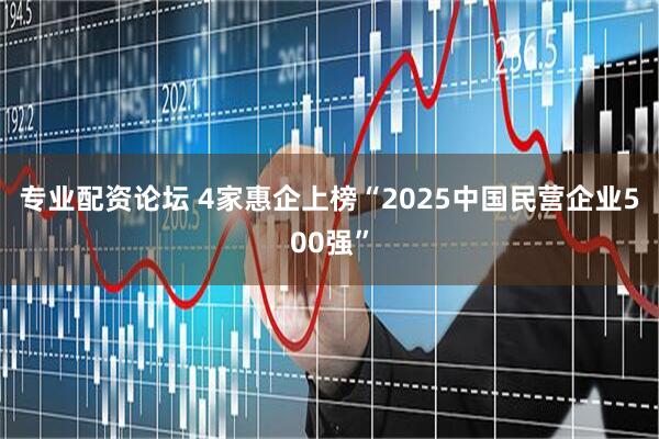 专业配资论坛 4家惠企上榜“2025中国民营企业500强”